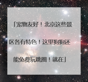 宠物友好！北京这些景区各有特色！这里狗狗还能免费玩跳圈！就在