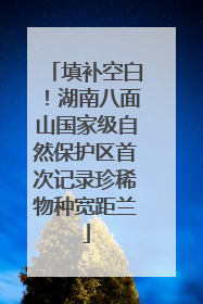 填补空白！湖南八面山国家级自然保护区首次记录珍稀物种宽距兰