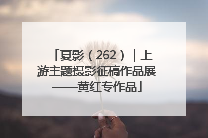夏影（262）｜上游主题摄影征稿作品展——黄红专作品