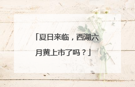 夏日来临，西湖六月黄上市了吗？