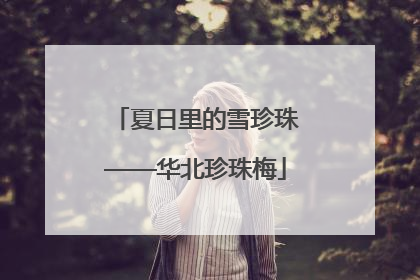 夏日里的雪珍珠——华北珍珠梅