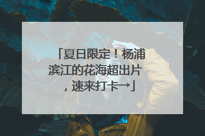夏日限定！杨浦滨江的花海超出片，速来打卡→