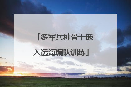 多军兵种骨干嵌入远海编队训练