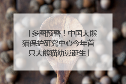 多图预警！中国大熊猫保护研究中心今年首只大熊猫幼崽诞生