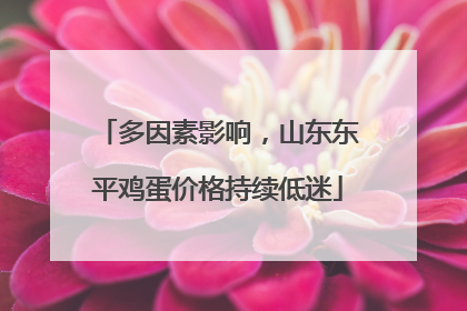 多因素影响，山东东平鸡蛋价格持续低迷