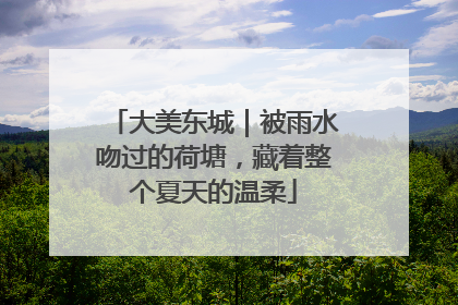 大美东城｜被雨水吻过的荷塘，藏着整个夏天的温柔
