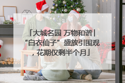 大城名园 万物和谐│“白衣仙子”盛放引围观，花期仅剩半个月