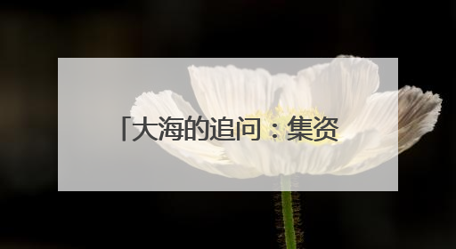 大海的追问：集资1.3亿元造科考船，台州30多位渔民的别样“执念”
