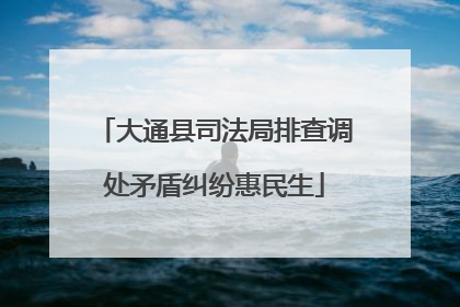 大通县司法局排查调处矛盾纠纷惠民生