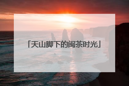 天山脚下的闽茶时光