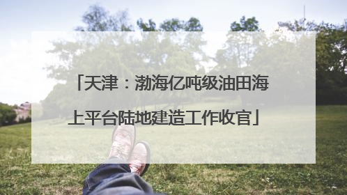 天津：渤海亿吨级油田海上平台陆地建造工作收官