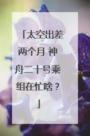 太空出差两个月 神舟二十号乘组在忙啥？