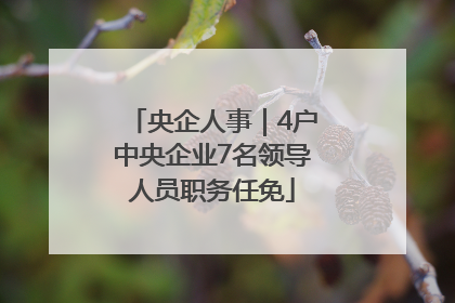 央企人事｜4户中央企业7名领导人员职务任免