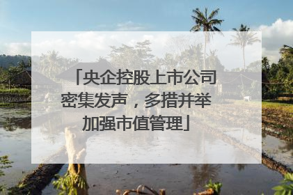 央企控股上市公司密集发声，多措并举加强市值管理