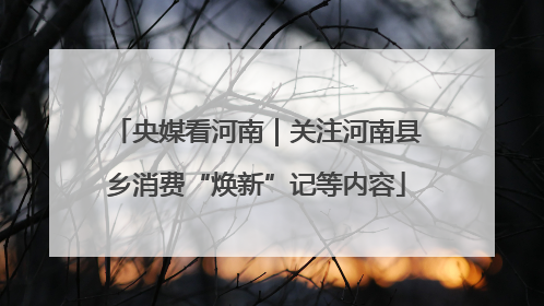 央媒看河南｜关注河南县乡消费“焕新”记等内容