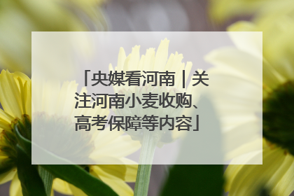 央媒看河南｜关注河南小麦收购、高考保障等内容