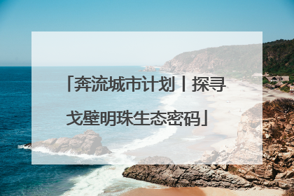 奔流城市计划丨探寻戈壁明珠生态密码