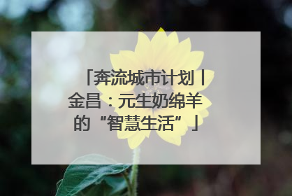 奔流城市计划丨金昌：元生奶绵羊的“智慧生活”