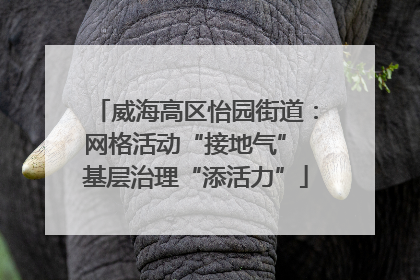 威海高区怡园街道：网格活动“接地气” 基层治理“添活力”