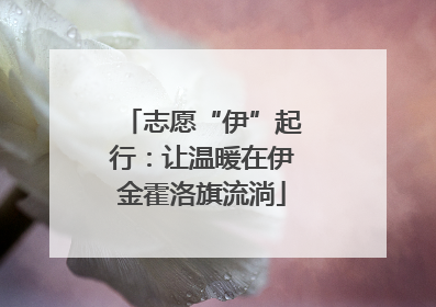 志愿“伊”起行：让温暖在伊金霍洛旗流淌