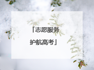 志愿服务 护航高考