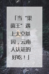 当“果菌王”遇上太空基因，云南人认证的好吃！