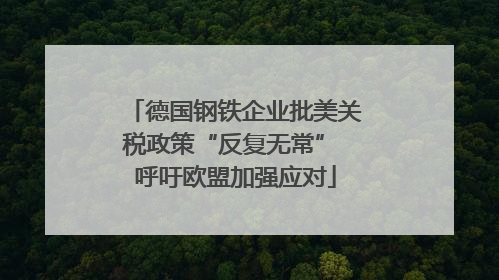 德国钢铁企业批美关税政策“反复无常” 呼吁欧盟加强应对