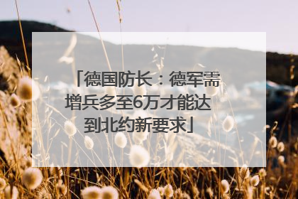 德国防长：德军需增兵多至6万才能达到北约新要求