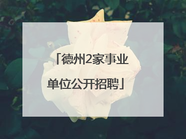 德州2家事业单位公开招聘