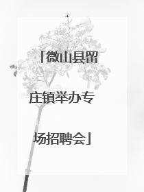 微山县留庄镇举办专场招聘会