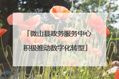 微山县政务服务中心积极推动数字化转型