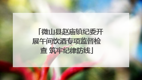 微山县赵庙镇纪委开展午间饮酒专项监督检查 筑牢纪律防线