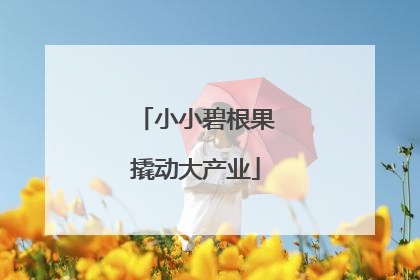 小小碧根果撬动大产业