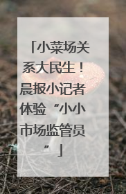 小菜场关系大民生！晨报小记者体验“小小市场监管员”