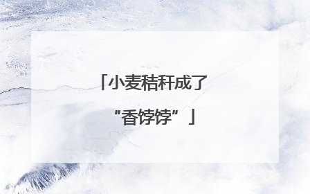 小麦秸秆成了“香饽饽”