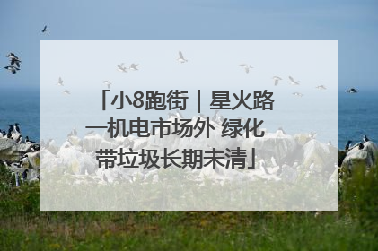 小8跑街｜星火路一机电市场外 绿化带垃圾长期未清