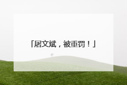 屠文斌，被重罚！