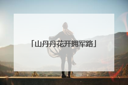 山丹丹花开拥军路