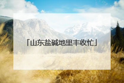 山东盐碱地里丰收忙