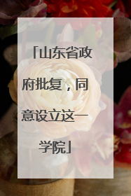 山东省政府批复，同意设立这一学院