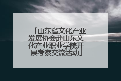 山东省文化产业发展协会赴山东文化产业职业学院开展考察交流活动
