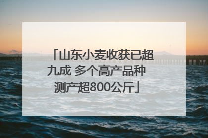 山东小麦收获已超九成 多个高产品种测产超800公斤
