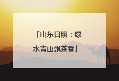 山东日照：绿水青山飘茶香