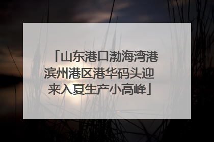 山东港口渤海湾港滨州港区港华码头迎来入夏生产小高峰