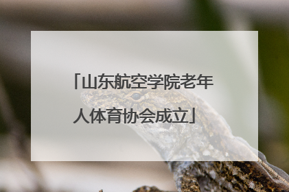山东航空学院老年人体育协会成立