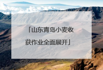 山东青岛小麦收获作业全面展开