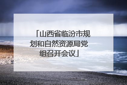 山西省临汾市规划和自然资源局党组召开会议