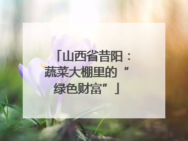山西省昔阳：蔬菜大棚里的“绿色财富”