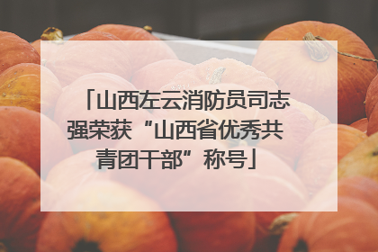 山西左云消防员司志强荣获“山西省优秀共青团干部”称号