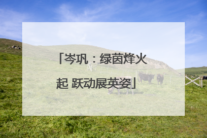 岑巩：绿茵烽火起 跃动展英姿